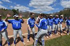 Softball vs Springfield  Wheaton College Softball vs Springfield College. - Photo by: KEITH NORDSTROM : Wheaton, Baseball